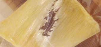 フカヒレ 82ｇA級品 姿2個セット【香港買付】